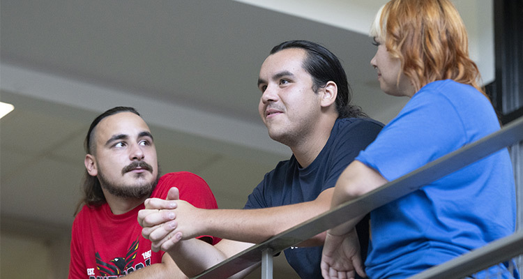 Indigenous student services